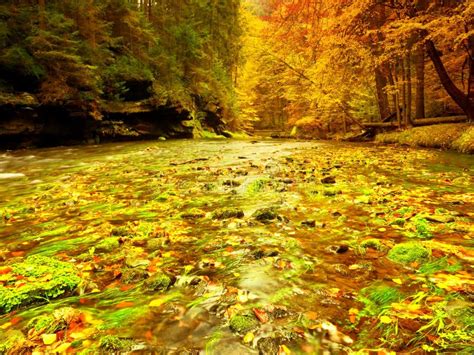 Autumn Mountain River With Blurred Waves Fresh Green Mossy Stones And