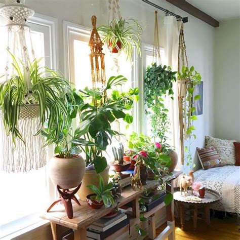 24 How To Create Home Interior Design With Beautiful Ornamental Plants