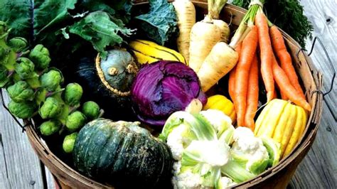 Fall Vegetable Garden Vege Choices