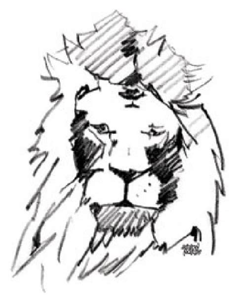 Young Lady Lion By Arvind Narale An Optical Illusion