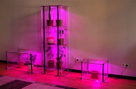 Mini-greenhouses - TM Broody