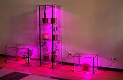 Greenhouses At Menards