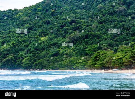 Beautiful Paradise Beach Surrounded By Rainforest In Trindade