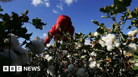 France Investigates Retailers Over China Forced Labour Claims