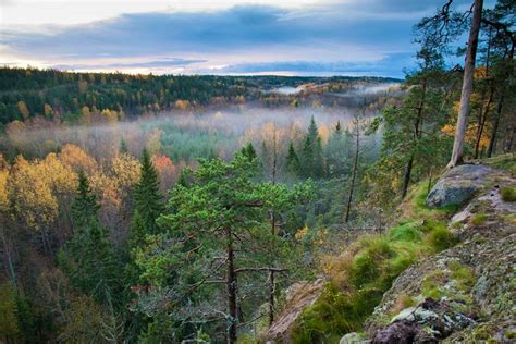 Finnish Lakes And Forests Guided Tour