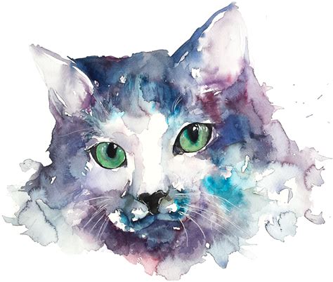 23 Water Cat Drawings Ide Spesial