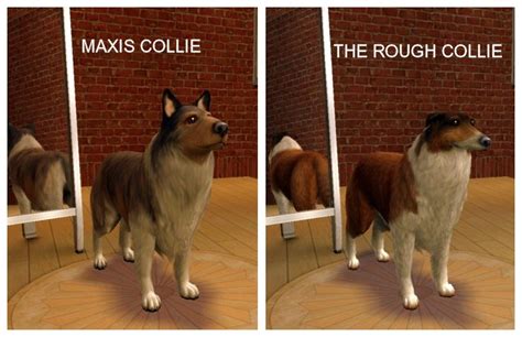 Mod The Sims The Rough Collie