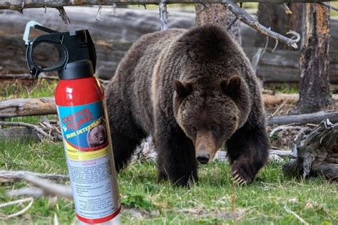 How To Use Bear Spray Correctly The National Parks Experience
