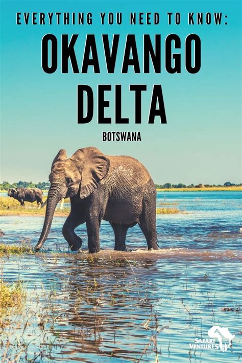 Okavango Delta Artofit
