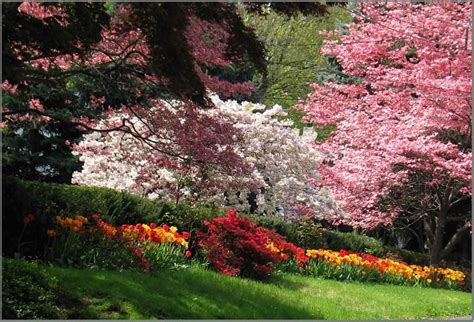 If you live in one of these. It doesn't get more beautiful than this! Flowers blooming ...