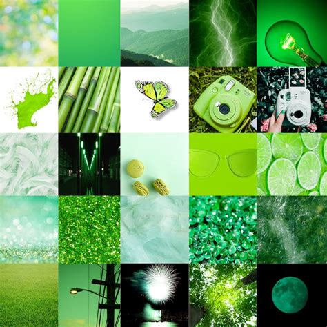 Green Earthly Aesthetic Photo Collage Digital Download Etsy Photo