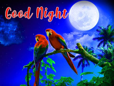 Maybe you would like to learn more about one of these? 644+ Good Night Images HD Wallpapers Pics Photos Pictures ...