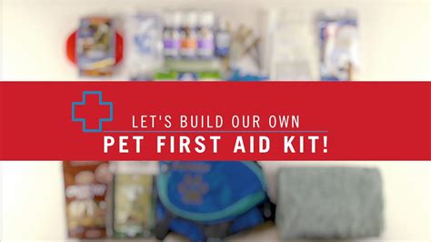 Video Lets Build A Pet First Aid Kit Vetericyn Animal Wellness
