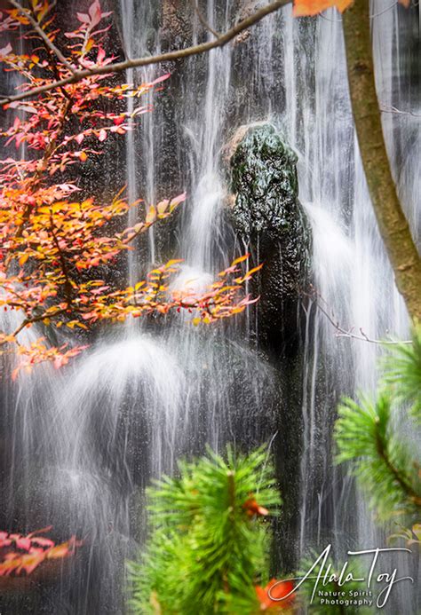 Waterfall Spirit Anderson Japanese Garden Atala Toy Nature Beings
