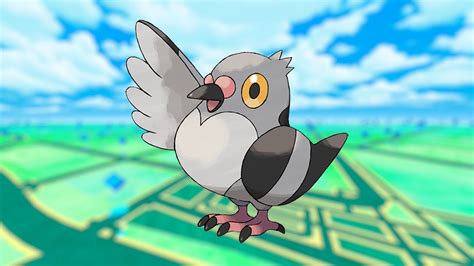 Pidove 100 Perfect Iv Stats Shiny Pidove In Pokémon Go