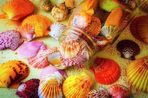Jar Spilling Seashells Photograph By Garry Gay Fine Art America