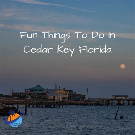 10 Fun Things To Do In Cedar Key Florida Best Florida Vacations From