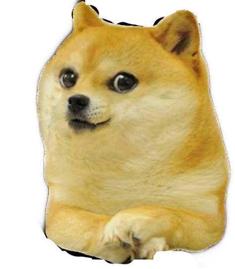 Le Do Not Forget The Original Baby Doge Has Arrived Rdogelore