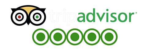 Tripadvisor Logo Transparent