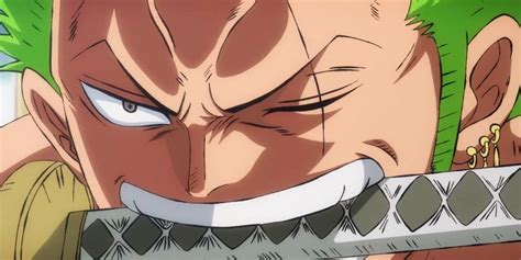 One Piece Should Keep How Zoro Lost His Eye A Mystery