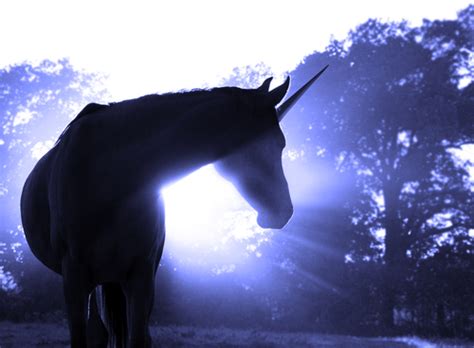 A unicorn is a person who interacts sexually with couples. Unicorn Dream Meaning - What do dreams about unicorns mean ...