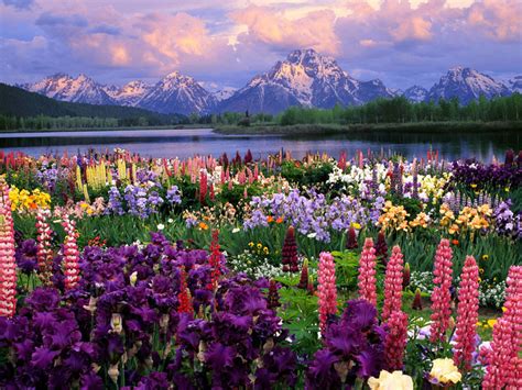 Here are just a few of my favorites for rainy april days like this. Dana Fuchs Blog: April Showers Bring May Flowers, Upcoming ...