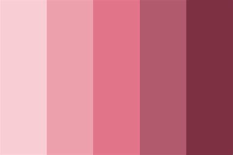 Pastel Pink Color Palette Hex Codes Jayson Harrington