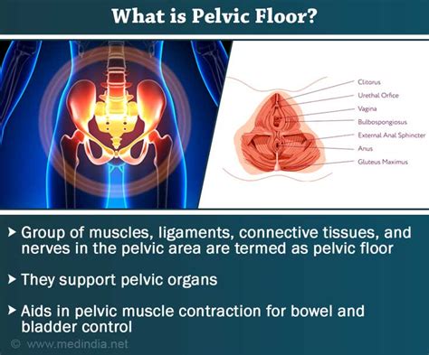Pelvic Floor Disorders Causes Symptoms Diagnosis Treatment Prevention
