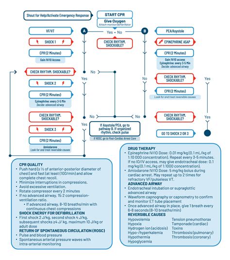 Pediatric Cardiac Arrest Algorithm First10em - vrogue.co