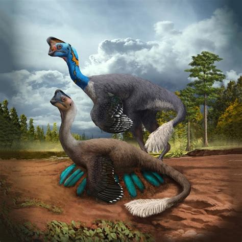 Worlds First Dinosaur Discovered Sitting On Nest Of Eggs With