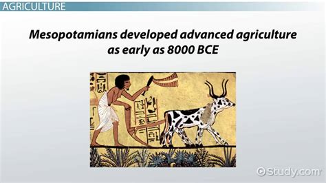 Major Mesopotamian Achievements In Early Civilization Lesson