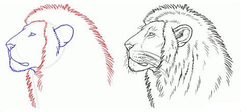 It will look like the ladder realy stands up. Easy Drawing - 21+ Free PDF, JPG Format Download | Free ...