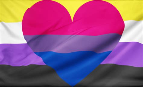 Non Binary Bisexual Pride Flag Aromantic Flag Store Pn2101