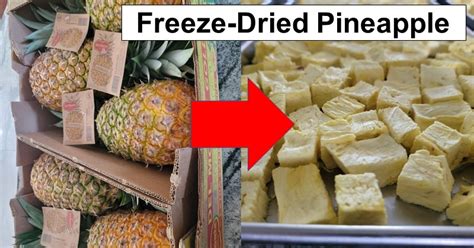 Freeze Dried Pineapple