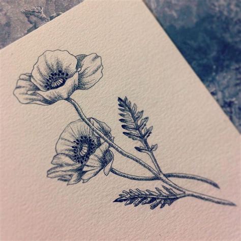I really like this picture (a thing not happening too often). Pin by Adriana Bergeron on -Tattoos- | Poppies tattoo ...