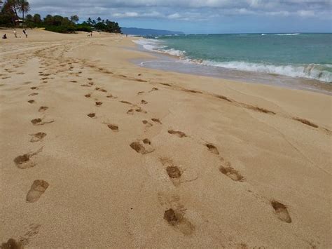 Sunset Beach Park Haleiwa 2019 All You Need To Know Before You Go