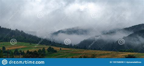 Foggy Carpathian Mountains Behind The Fields Of Wheat Early Morning