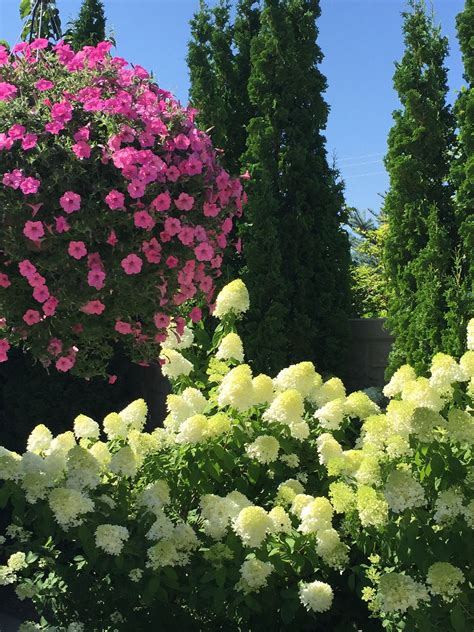Landscape supply of utah is a full service supply store with do. Le Jardin, Sandy, Utah (With images) | Cottage garden ...