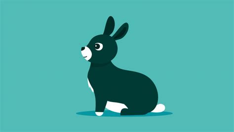 Wellhaven pethealth is committed to helping veterinarians and their teams grow. Vancouver, WA 98665 Veterinarian | WellHaven Pet Health ...