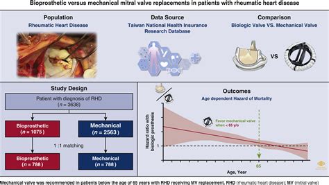 Bioprosthetic Versus Mechanical Mitral Valve Replacements In Patients