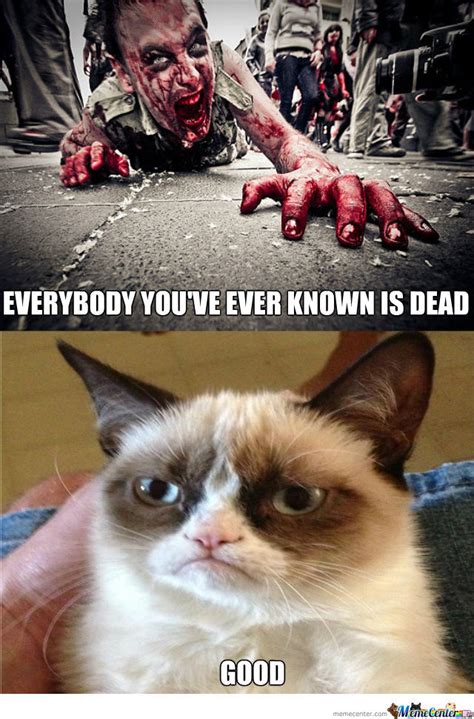 zombie memes funny apocalypse dead meme cat grumpy zombies humor ever ve fun everybody known kim