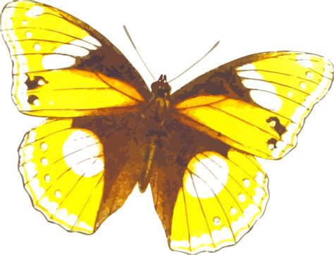 Yellow Butterfly Clip Art Image Clipsafari