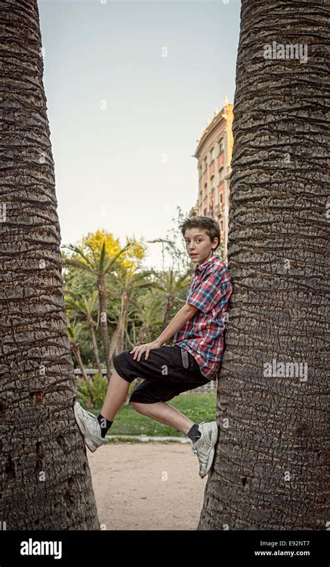 Teenage Boy Climbing Between Tow Palm Trees Stock Photo Alamy
