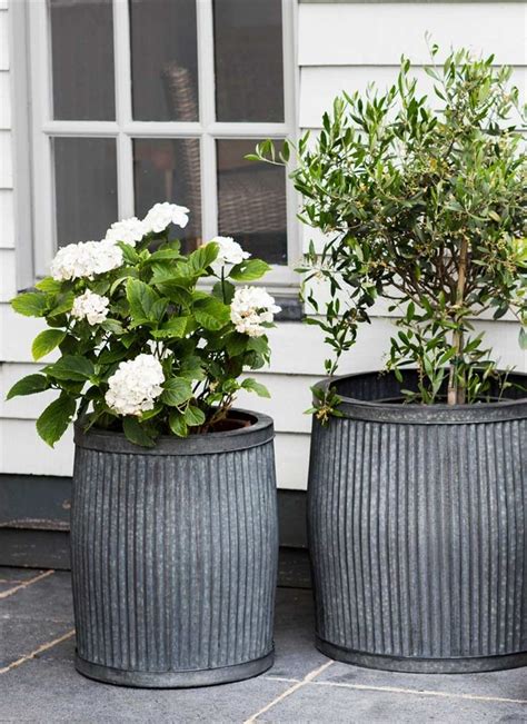 20 Extra Tall Planters For Outside