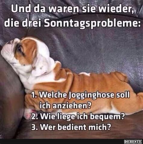 Guten morgen bilderchen, berlin (berlin, germany). Pin on living room