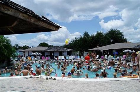 Party At The Pool Picture Of Cypress Cove Nudist Resort Kissimmee Tripadvisor