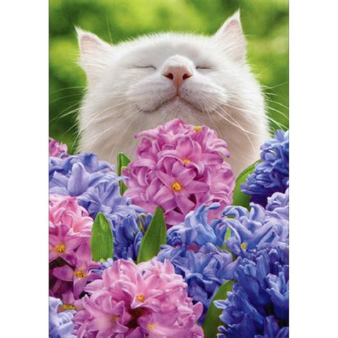 Avanti Press Cat Smelling Hyacinths Cute Easter Card