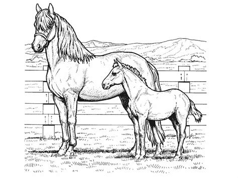 Horse coloring pages for kids | Coloring Pages For Kids