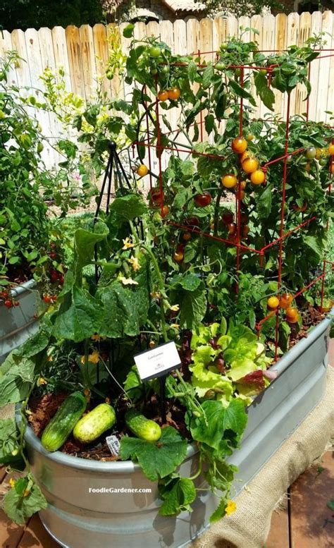 This Is A Great Diy For Starting A Container Veggie Garden Explains