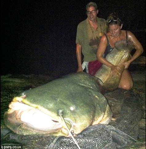 We did not find results for: Woman angler who only took up fishing to spend more time ...